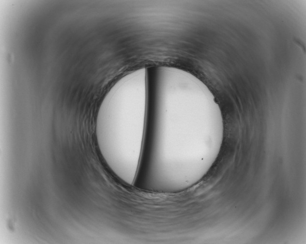 X0000099320040200805020802
