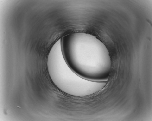 X0000099320041200805020802