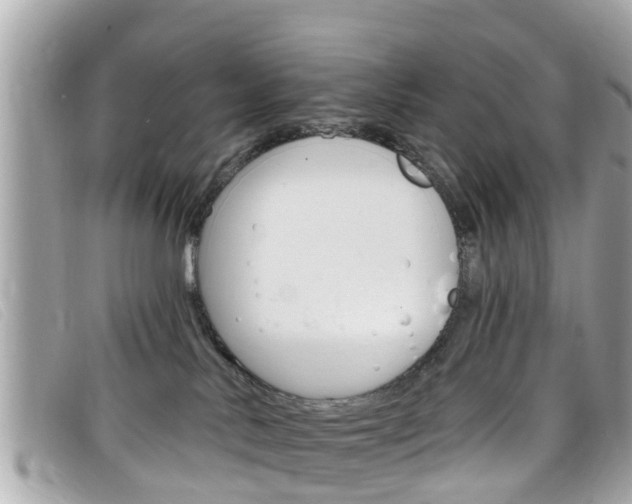 X0000099320042200805020802