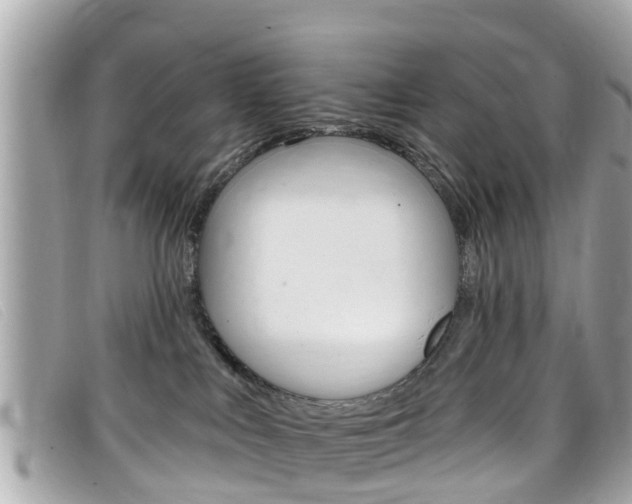 X0000099320043200805020802
