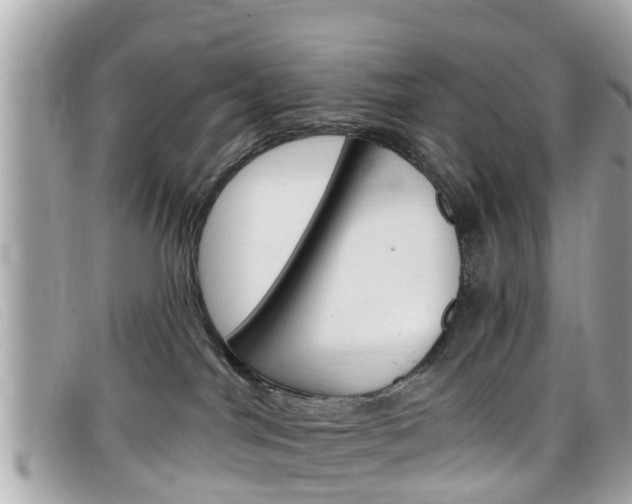 X0000099320044200805020802