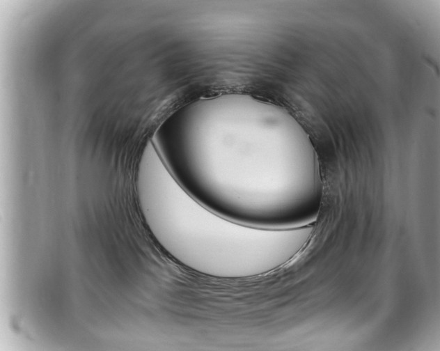 X0000099320045200805020802