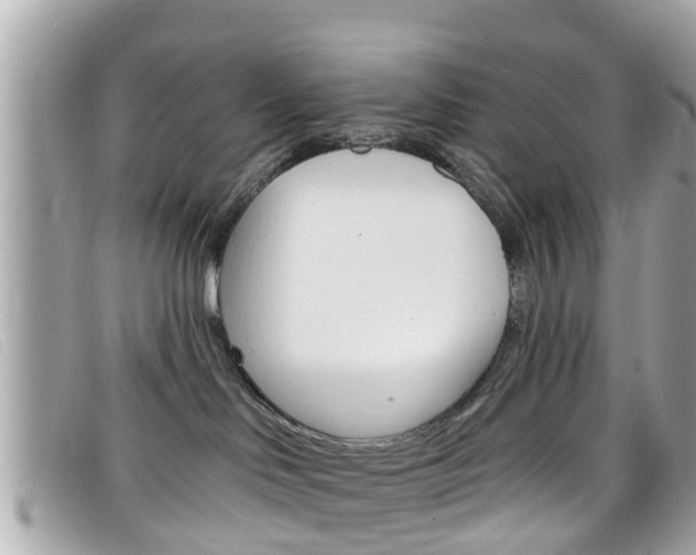 X0000099320046200805020802