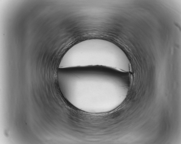 X0000099320048200805020802