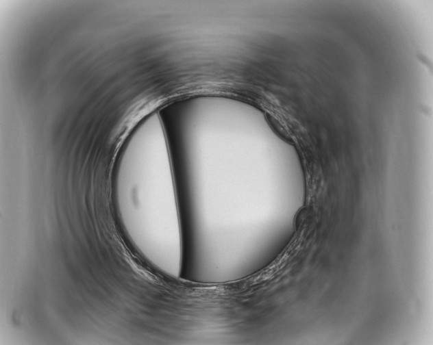 X0000099320050200805020802