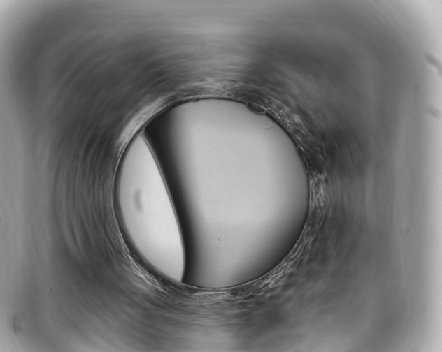 X0000099320051200805020802