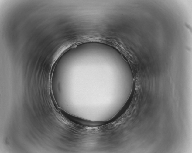 X0000099320052200805020802