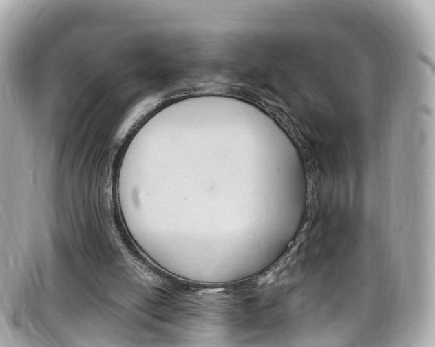 X0000099320054200805020802