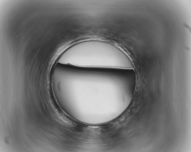 X0000099320055200805020802