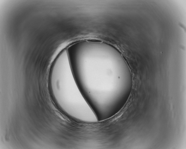 X0000099320056200805020802