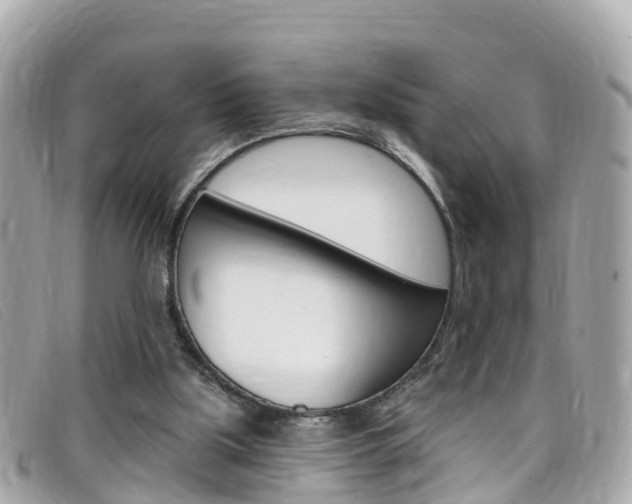 X0000099320059200805020802