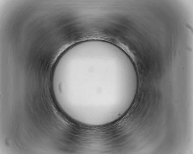 X0000099320060200805020802