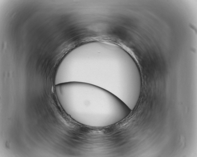 X0000099320061200805020802
