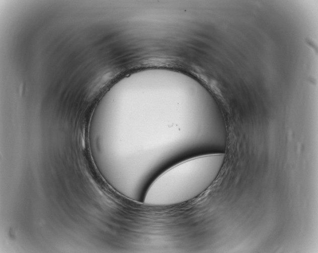 X0000099320062200805020802