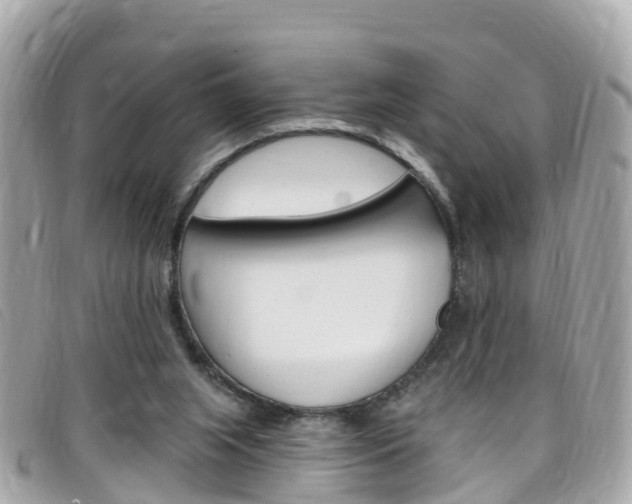 X0000099320063200805020802