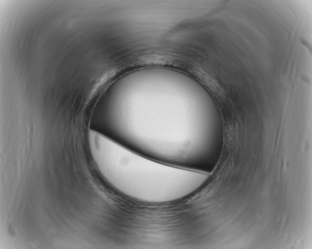 X0000099320064200805020802