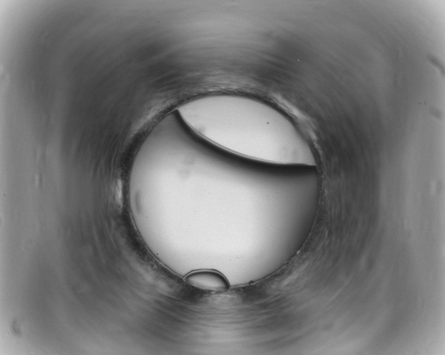 X0000099320067200805020802