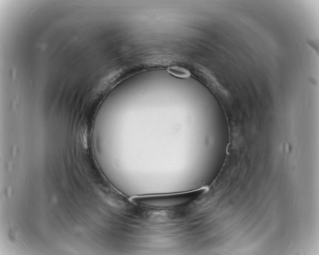 X0000099320068200805020802