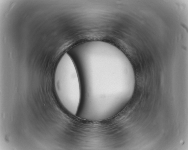 X0000099320071200805020802