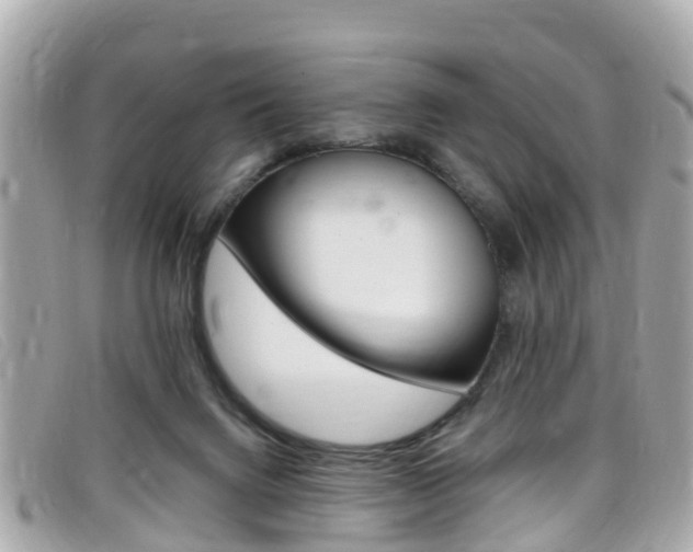 X0000099320072200805020802