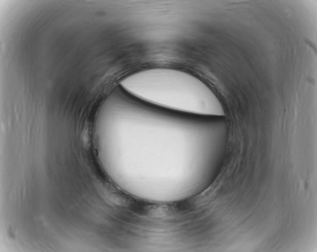 X0000099320074200805020802