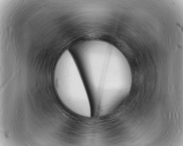 X0000099320075200805020802