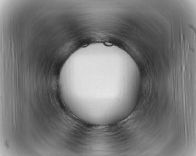 X0000099320078200805020802