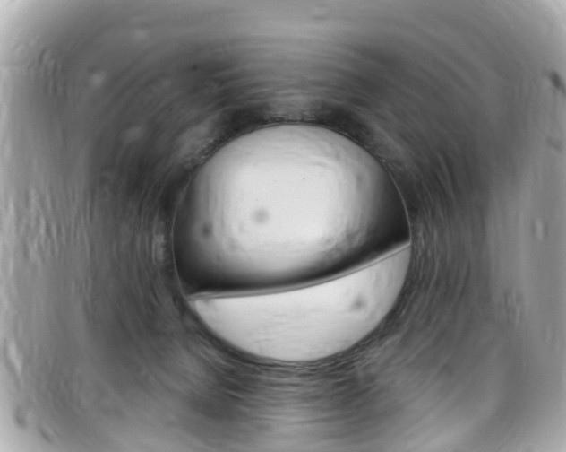 X0000099320080200805020802