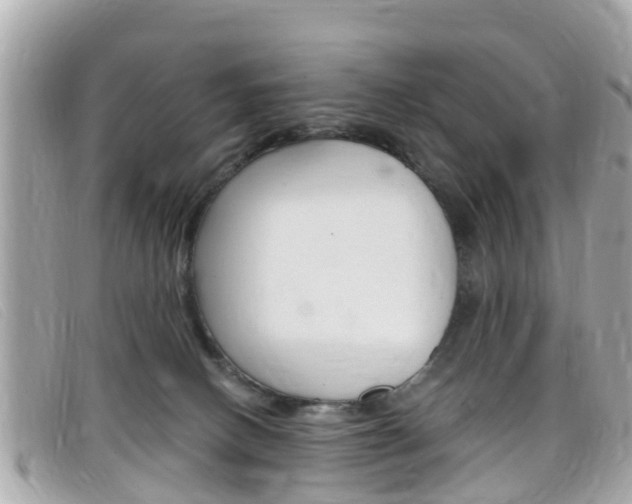 X0000099320082200805020802