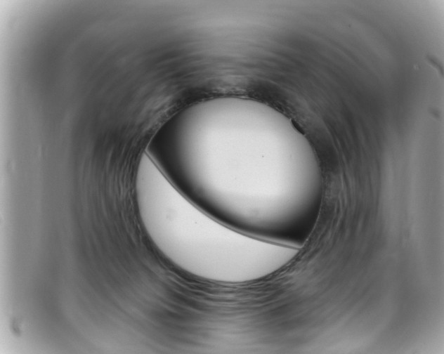 X0000099320084200805020802