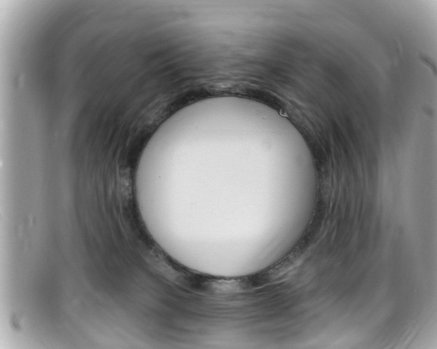 X0000099320085200805020802