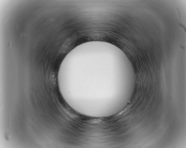X0000099320086200805020802