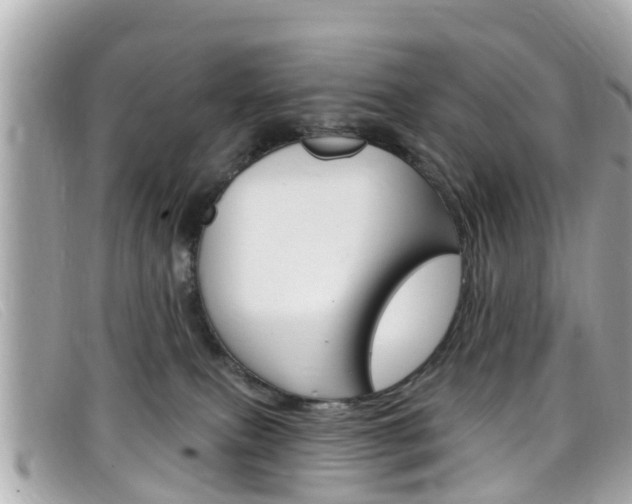X0000099320087200805020802