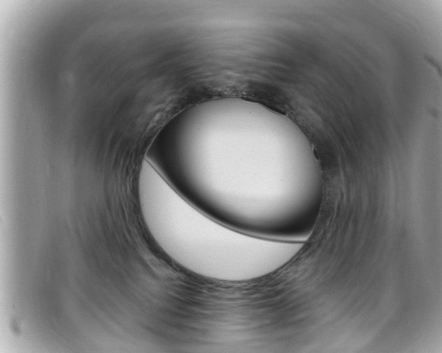 X0000099320088200805020802