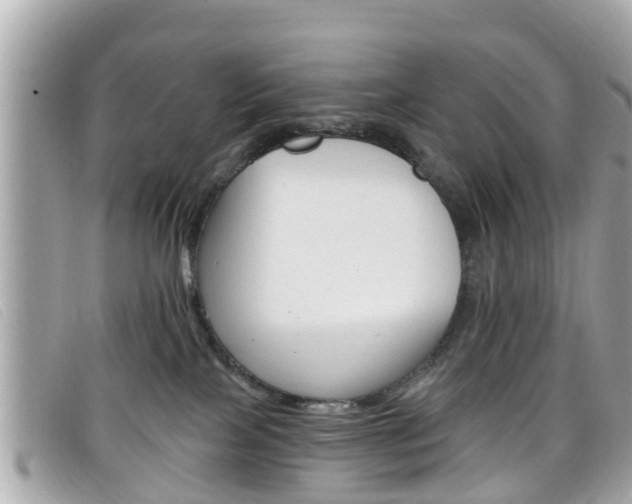 X0000099320089200805020802