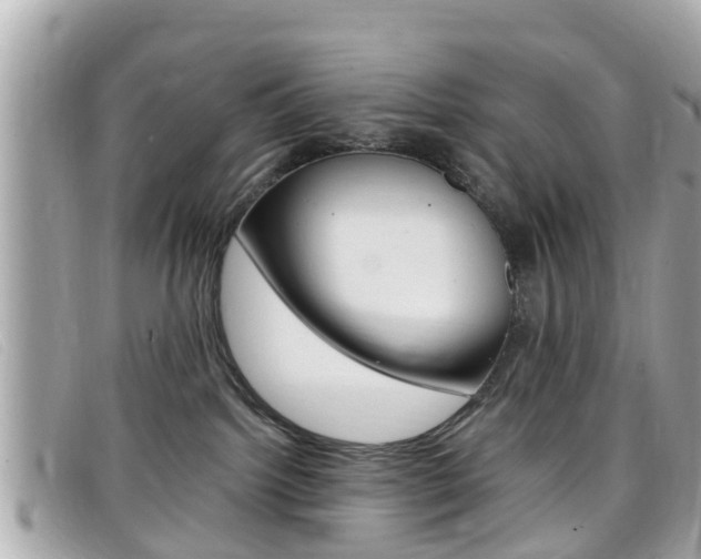 X0000099320092200805020802