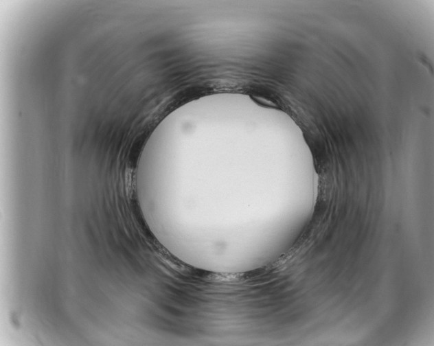 X0000099320093200805020802
