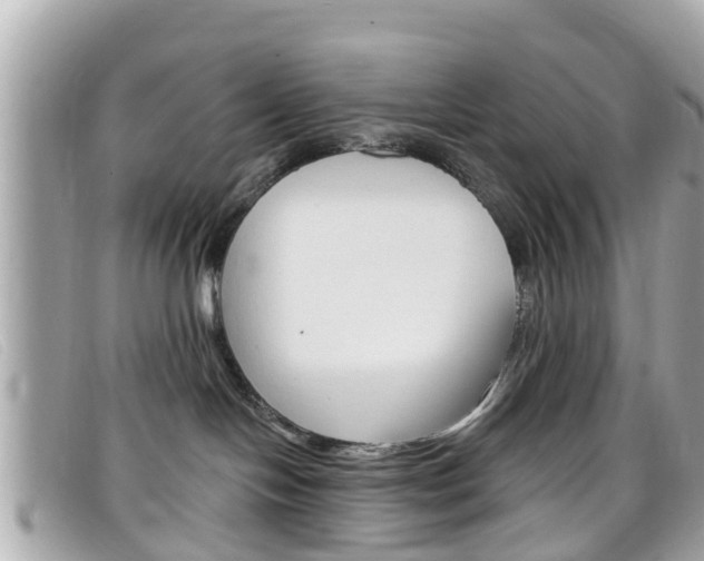 X0000099320094200805020802