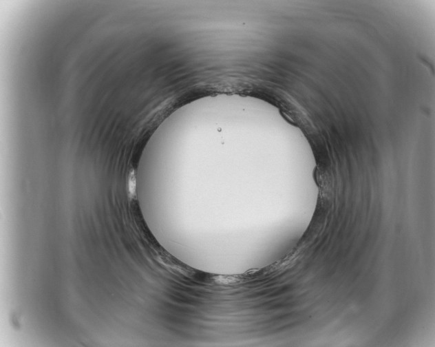 X0000099320095200805020802