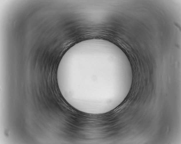 X0000099320096200805020802