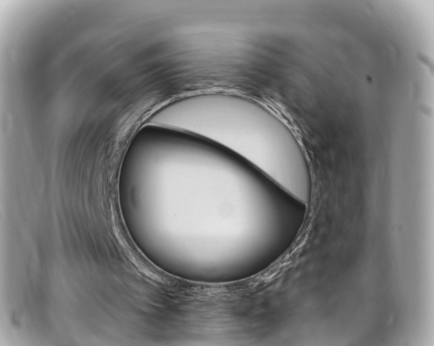 X0000099320097200805020802