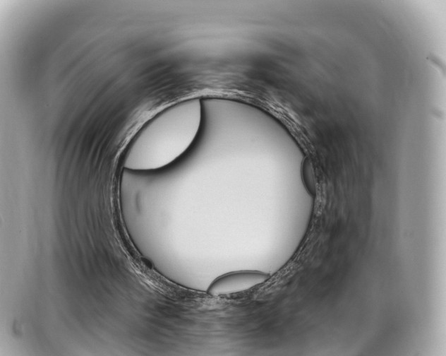 X0000099320098200805020802