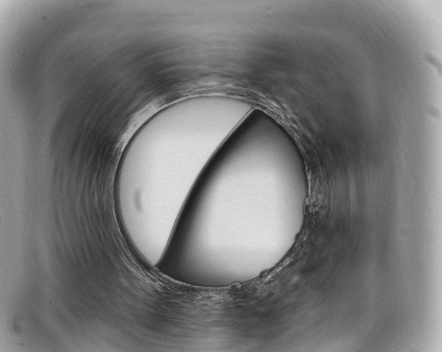 X0000099320099200805020802