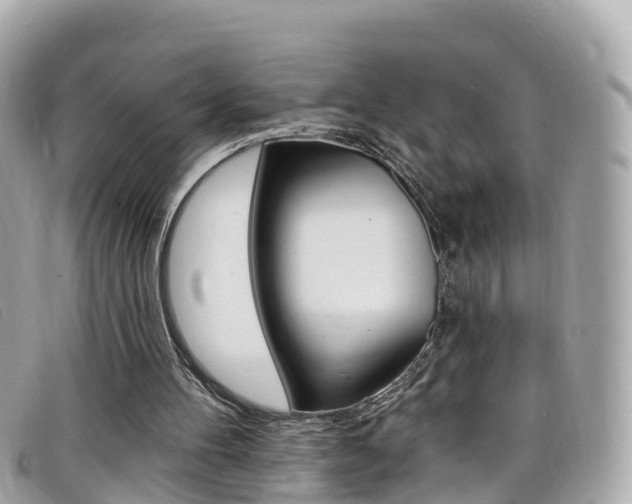X0000099320100200805020802