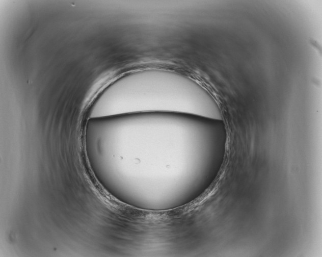 X0000099320101200805020802