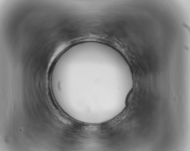 X0000099320102200805020801