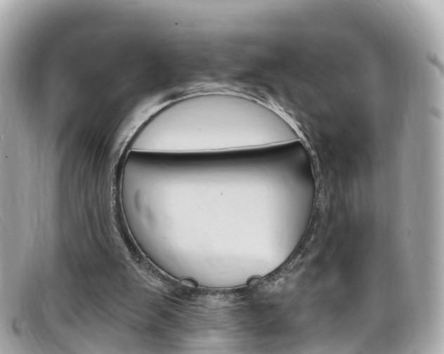 X0000099320103200805020801