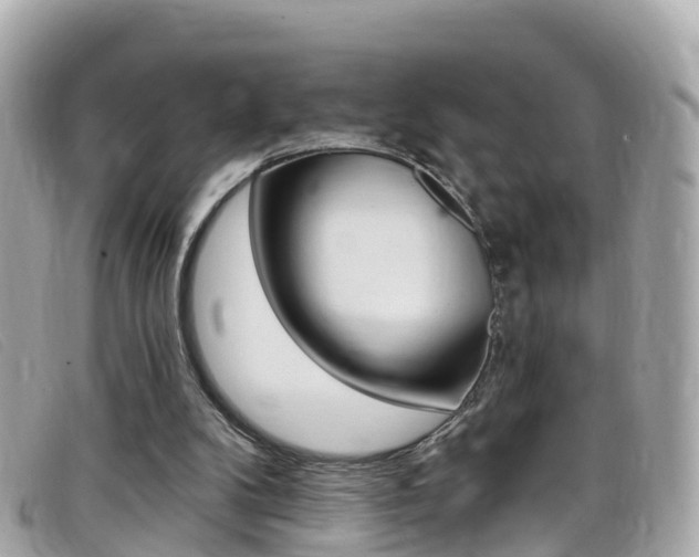 X0000099320104200805020801