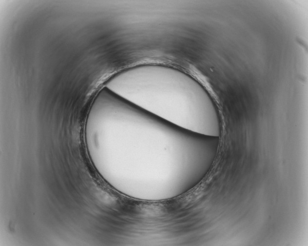 X0000099320106200805020801