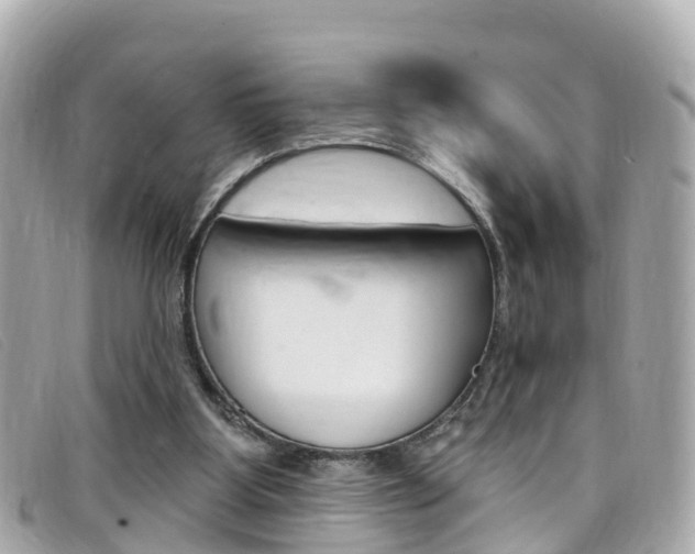 X0000099320107200805020801